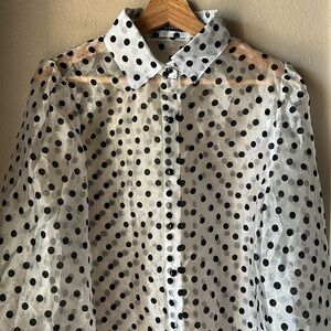 CBR Polka Dot Balloon Sleeve Button Down Sheer Blouse